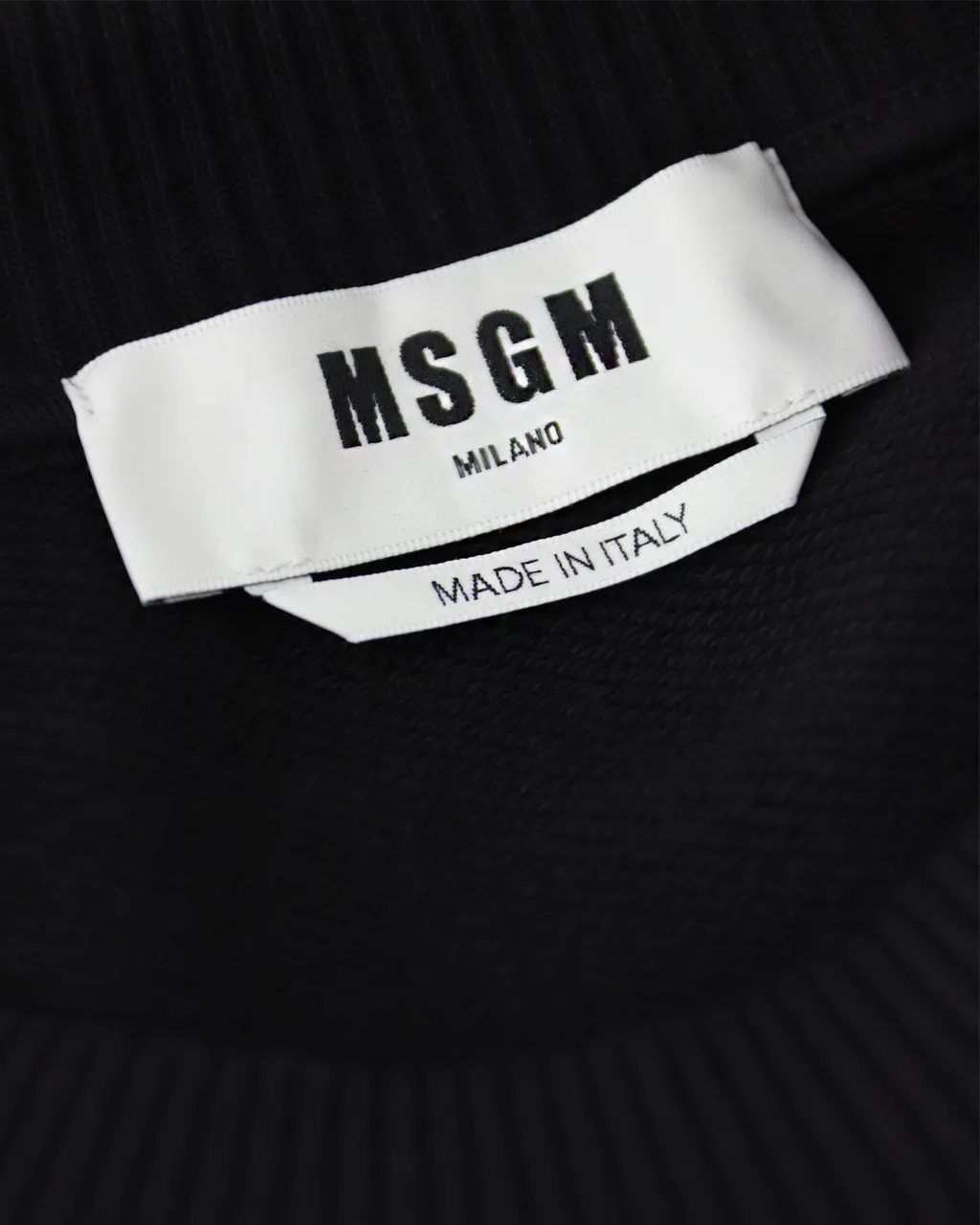 Msgm Logo Printed Crewneck Sweatshirt