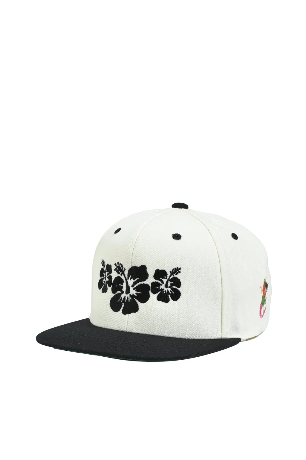 Oasis Snapback / Wht Blk