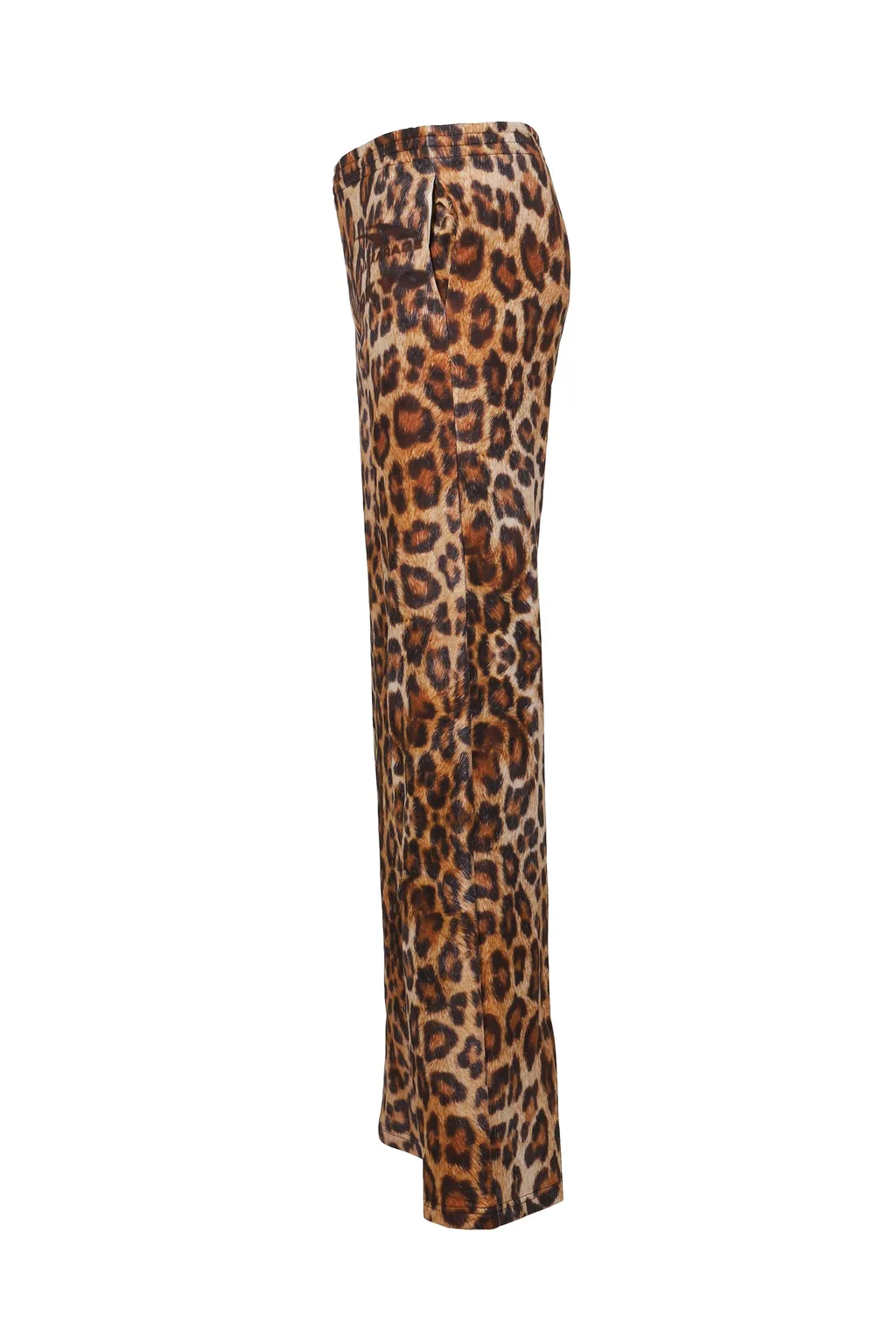 Leopard Jogger / Leo