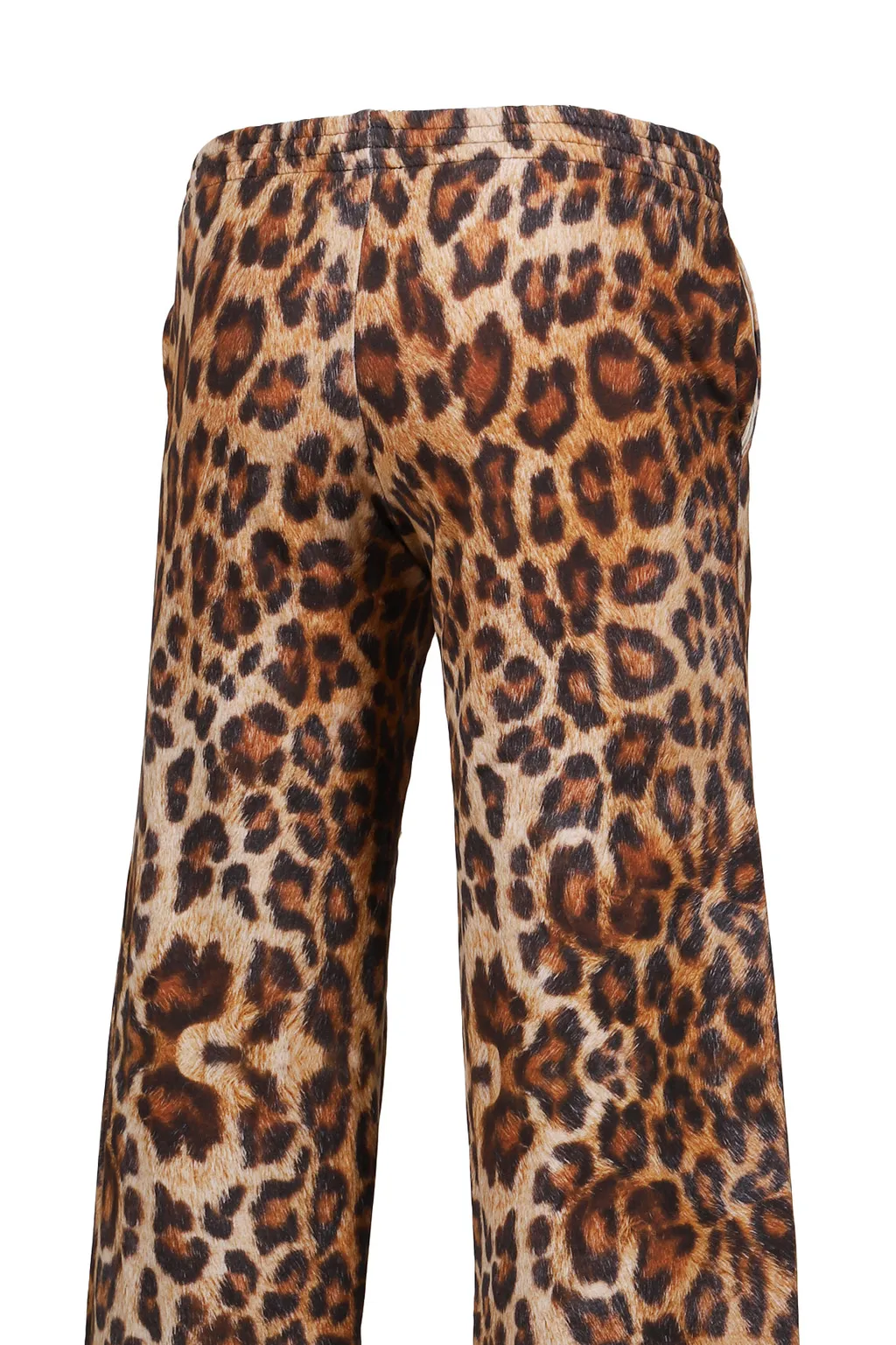 Leopard Jogger / Leo