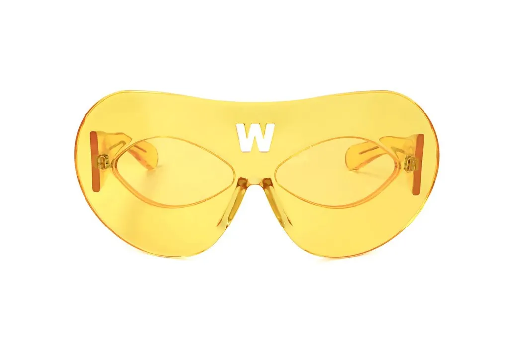 Linda Farrow X Walter Van Beirendonck Special Sunglasses