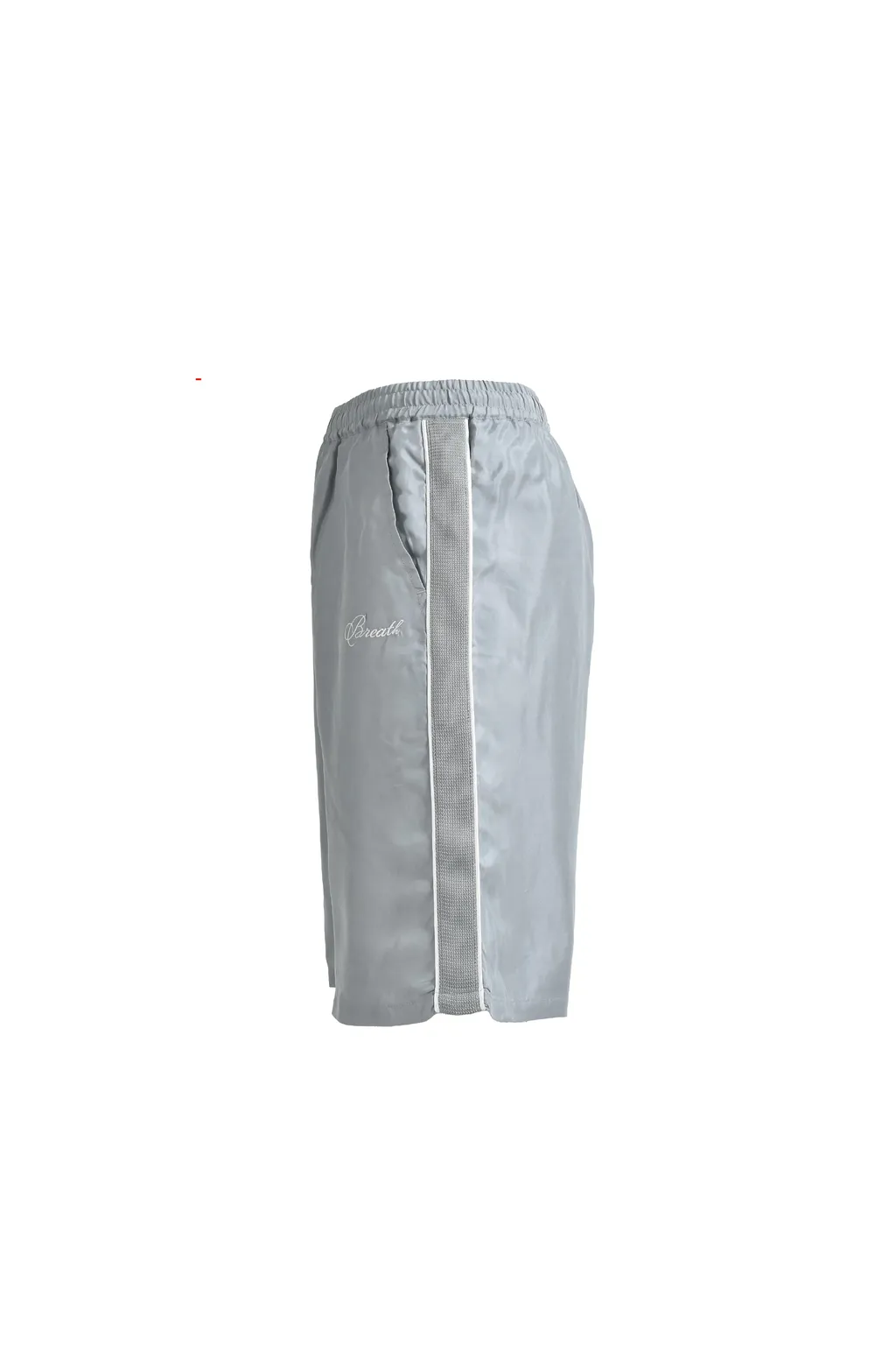 Script Logo Line Shorts / Gray