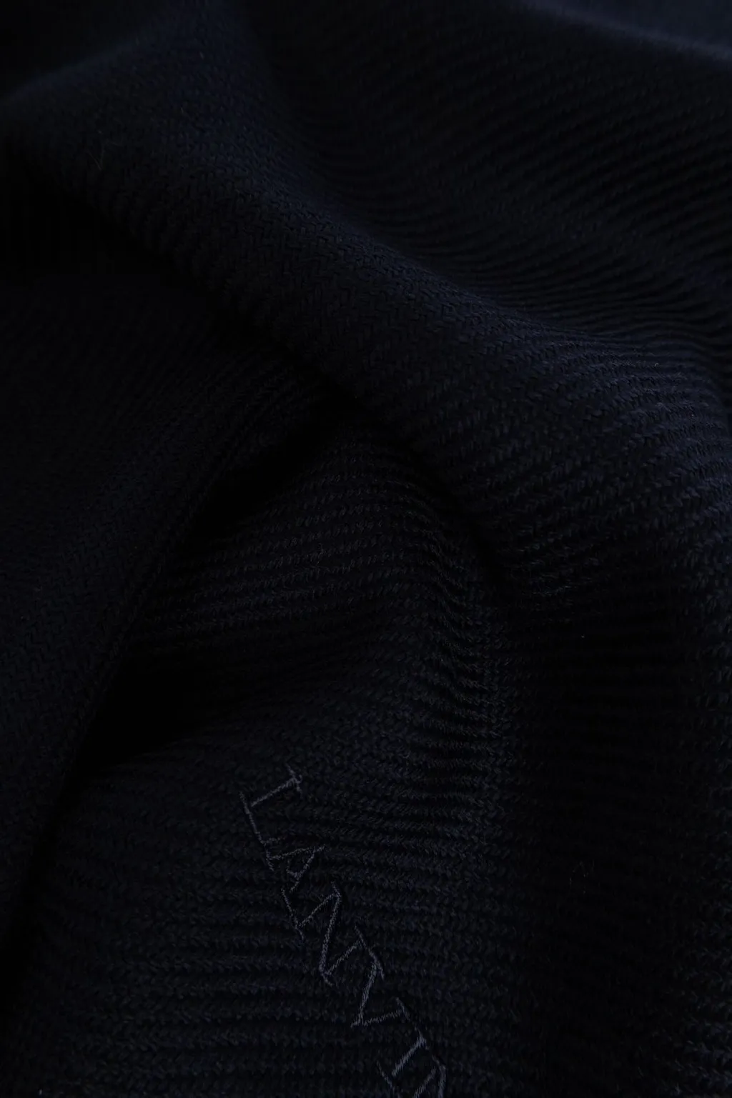 Lanvin Logo Embroidered Fringed Scarf