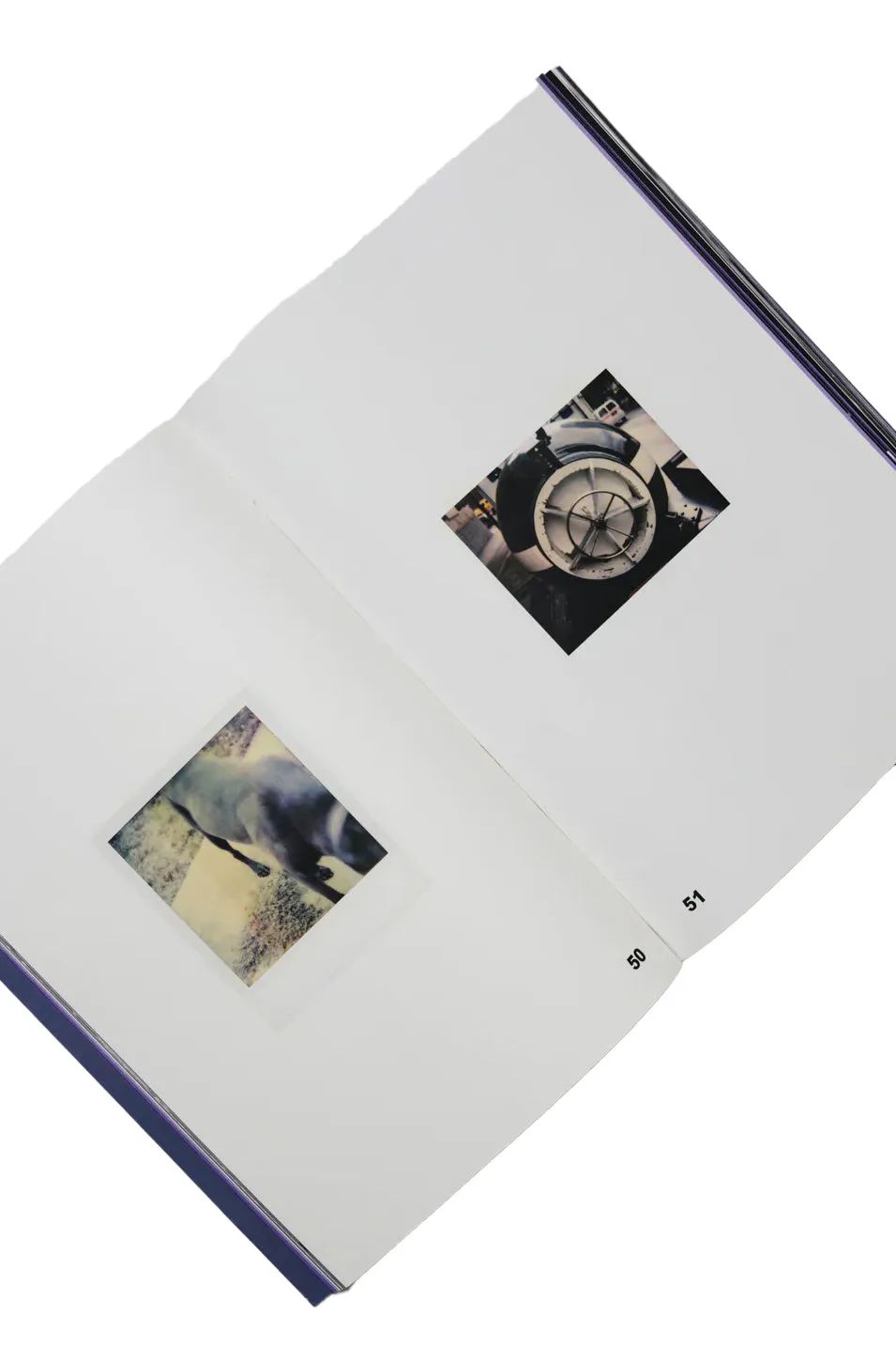 Photo Book The Smashing Pumpkins Fanzine / Multi