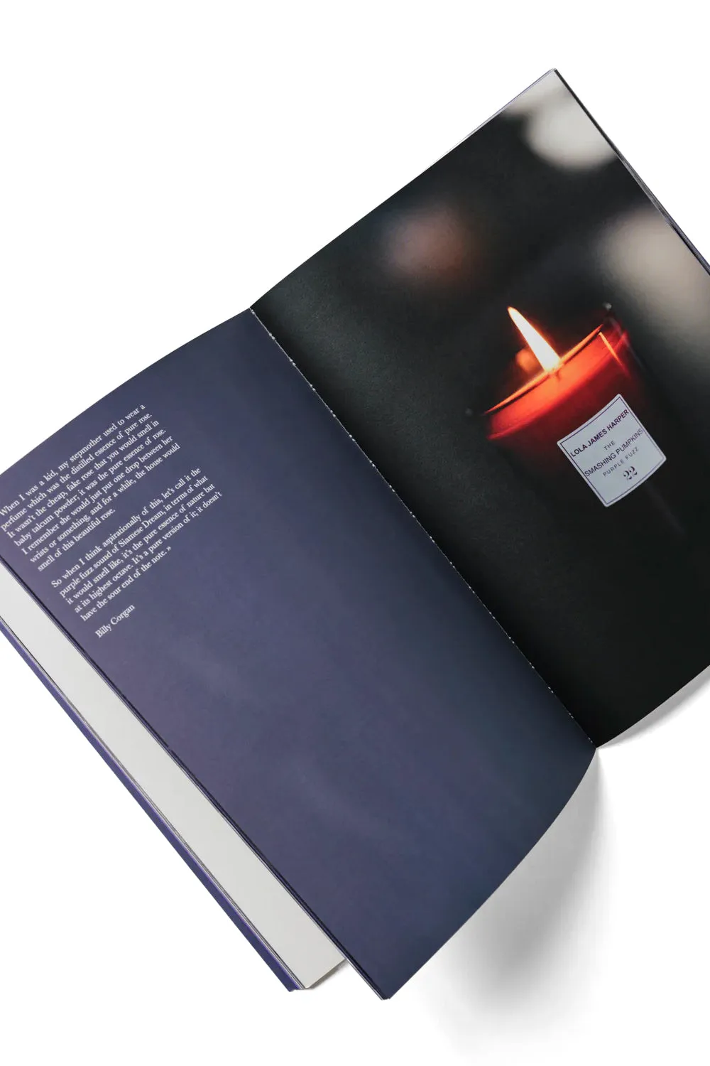 Photo Book The Smashing Pumpkins Fanzine / Multi