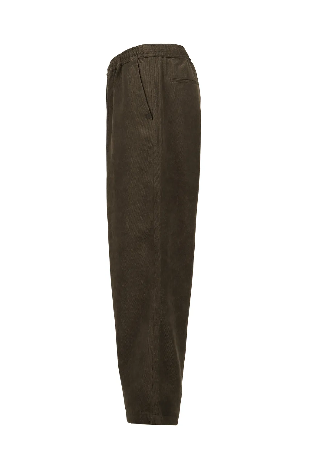 Tech Easy Trousers Corduroy / Brw Kha