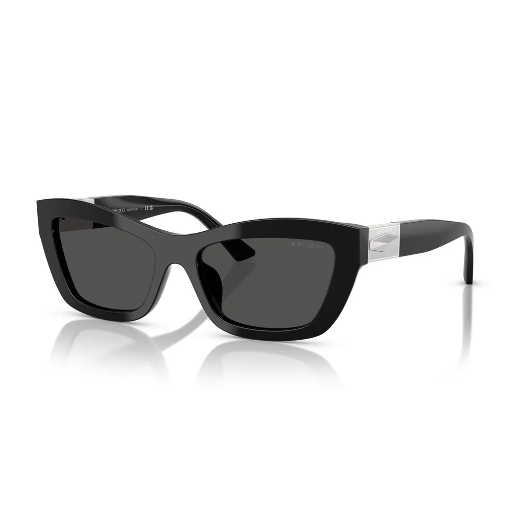 Jimmy Choo Eyewear Cat-Eye Frame Sunglasses