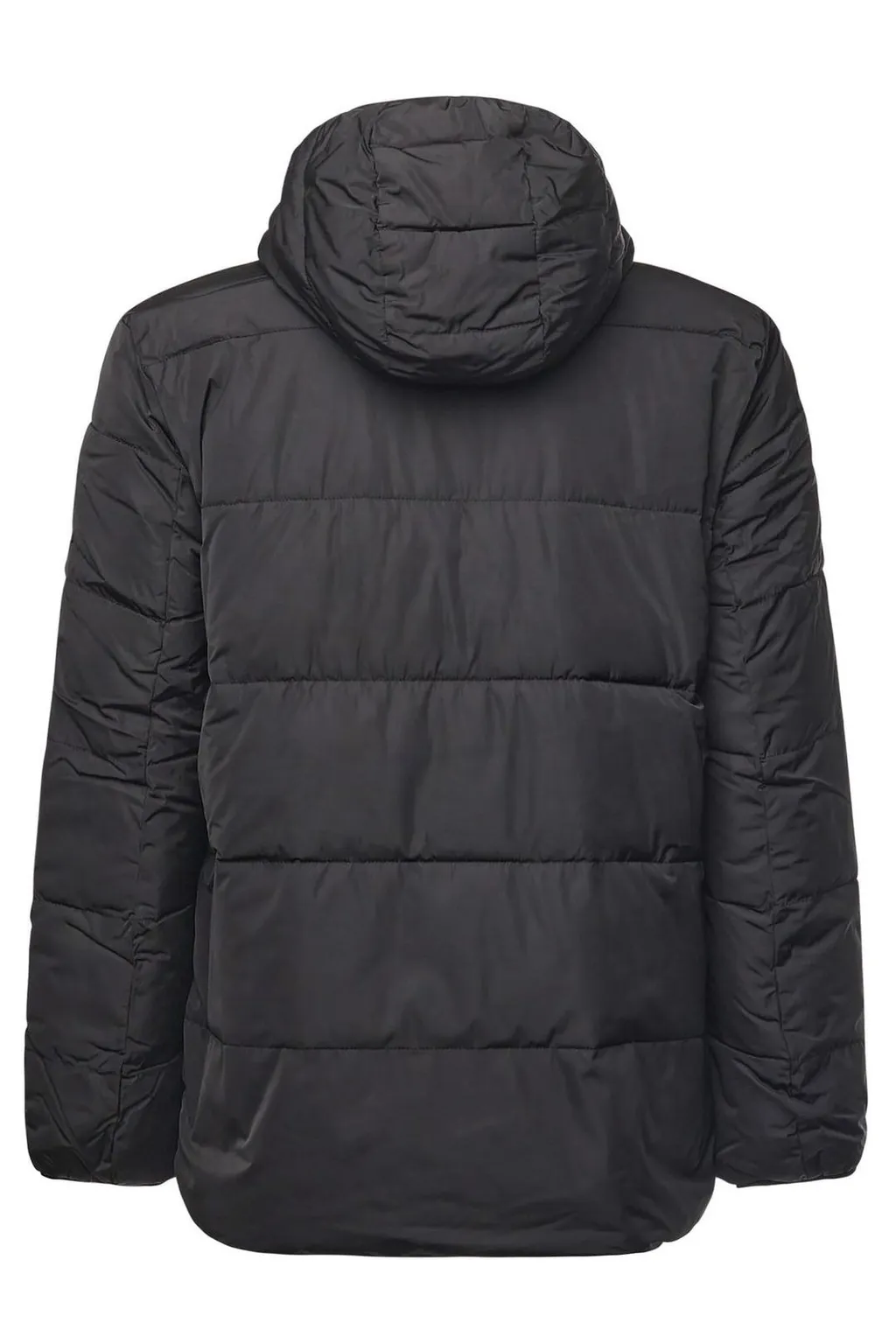 John Richmond Padded Hooded Jacket