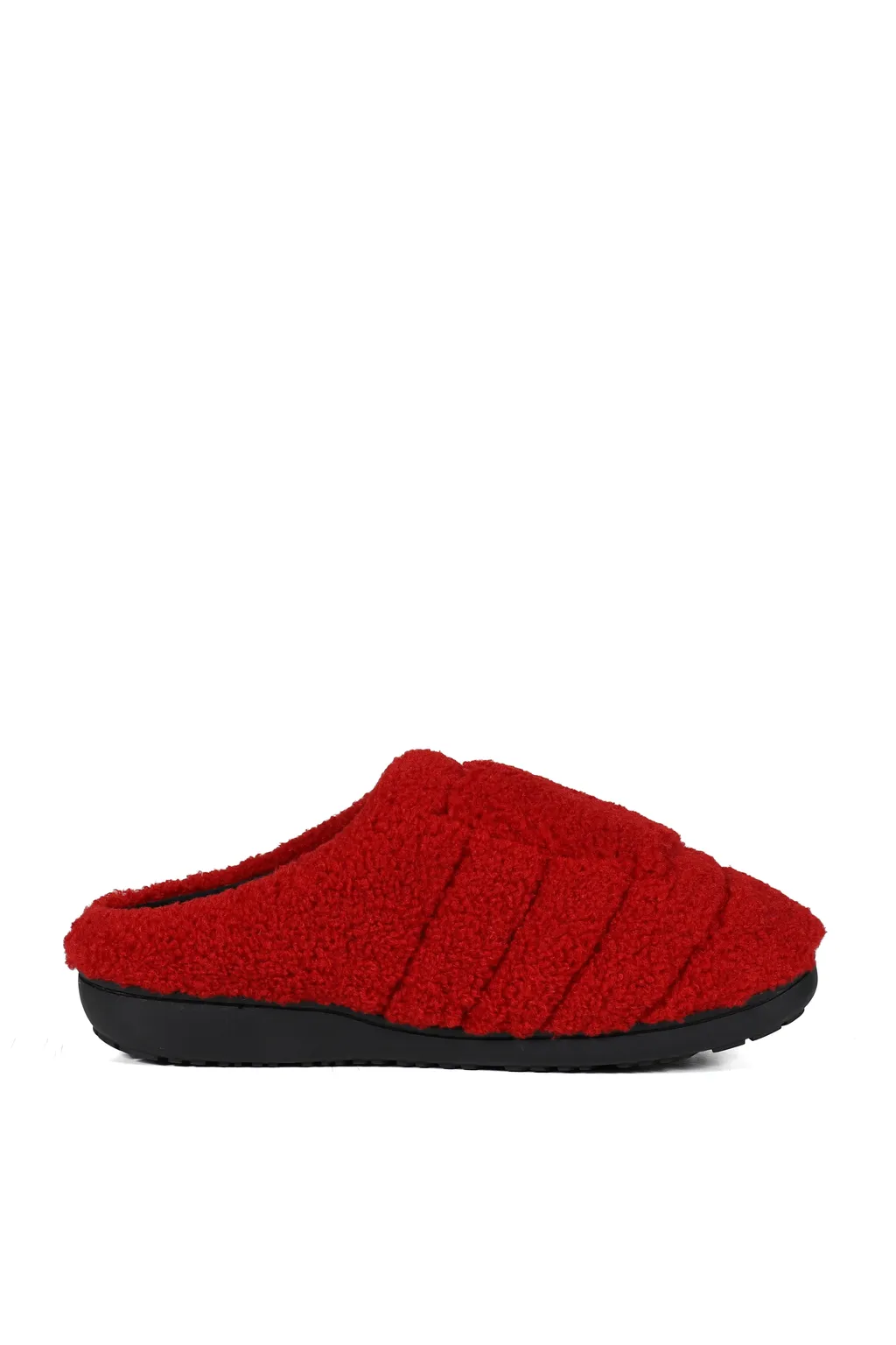 Teddy / Red