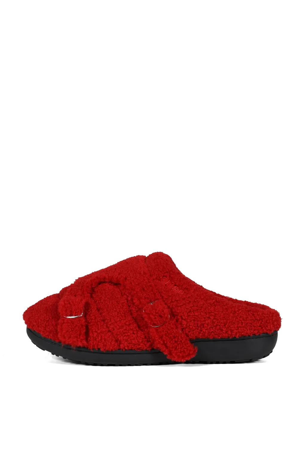 Teddy / Red