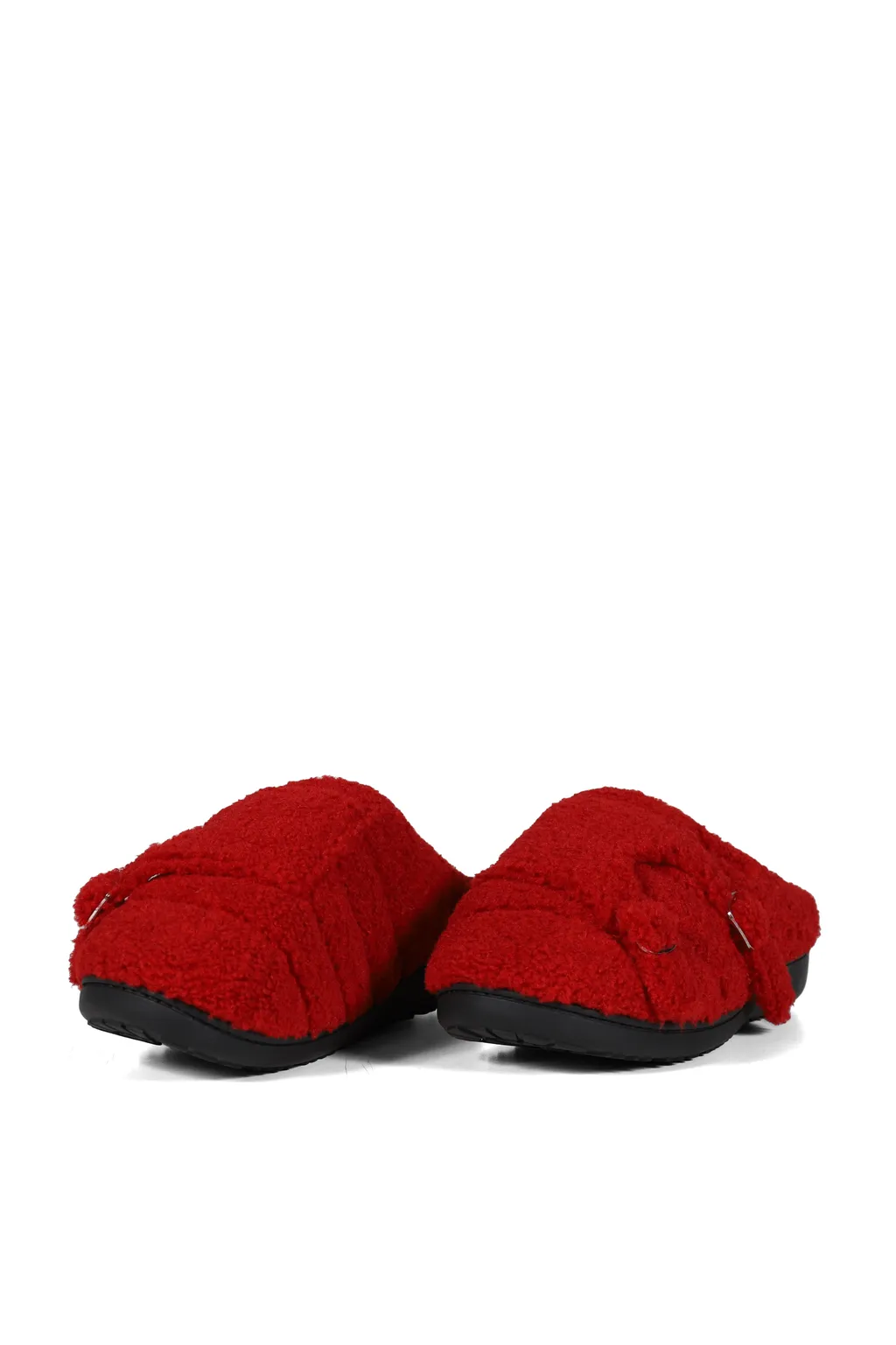 Teddy / Red