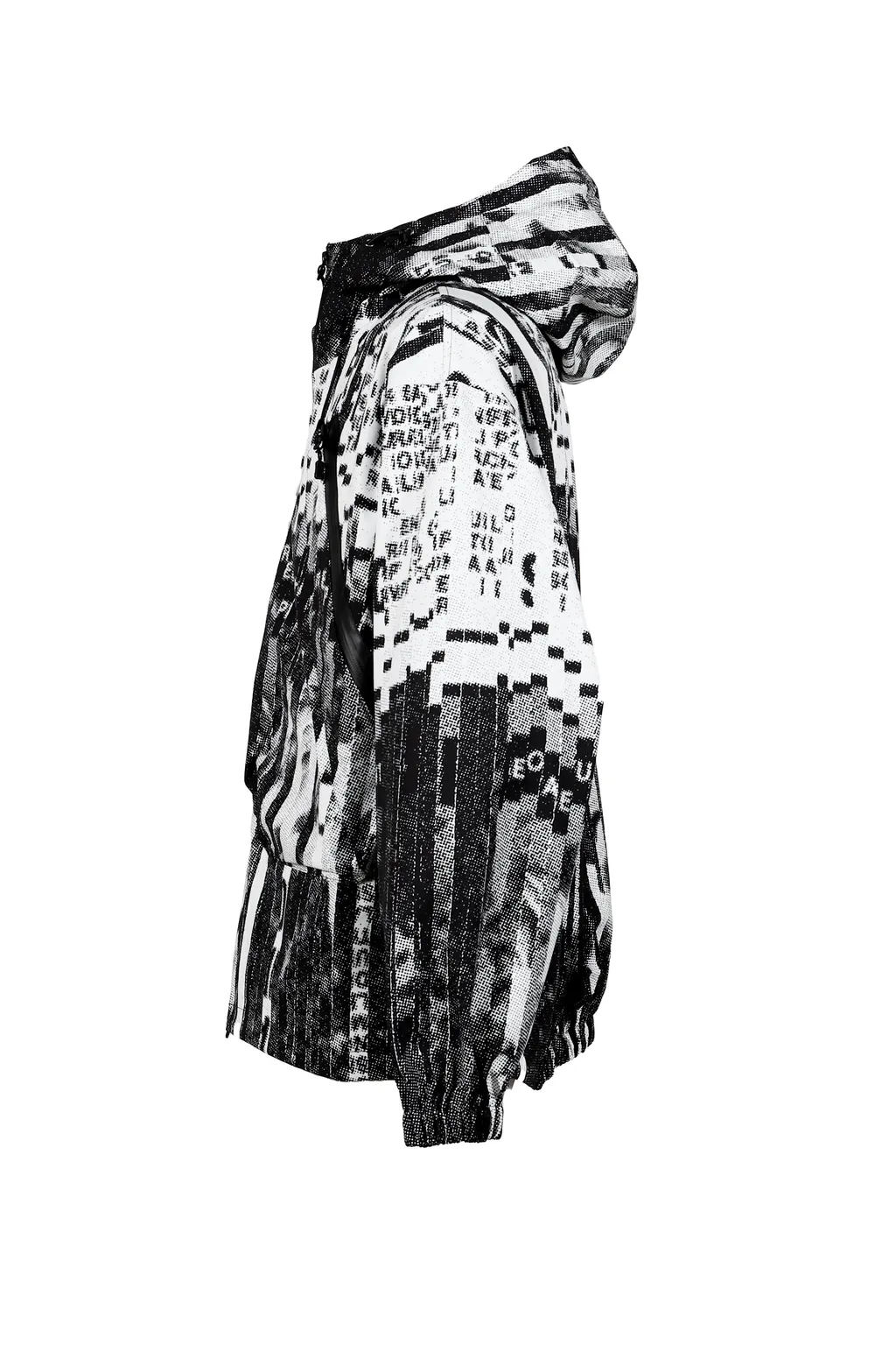 Mountain Parka / Shredder