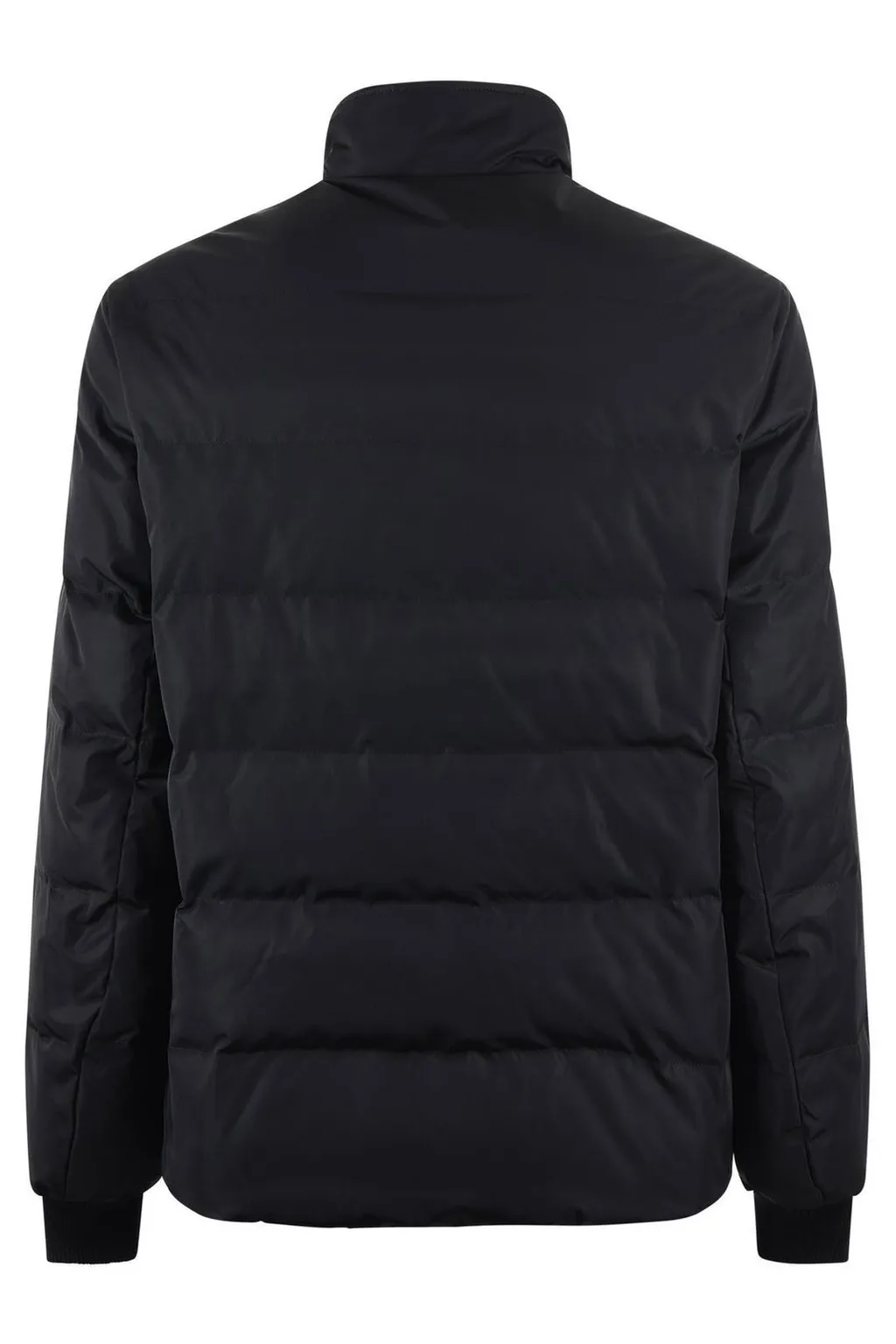 Etro Logo Embroidered Zip Up Padded Jacket