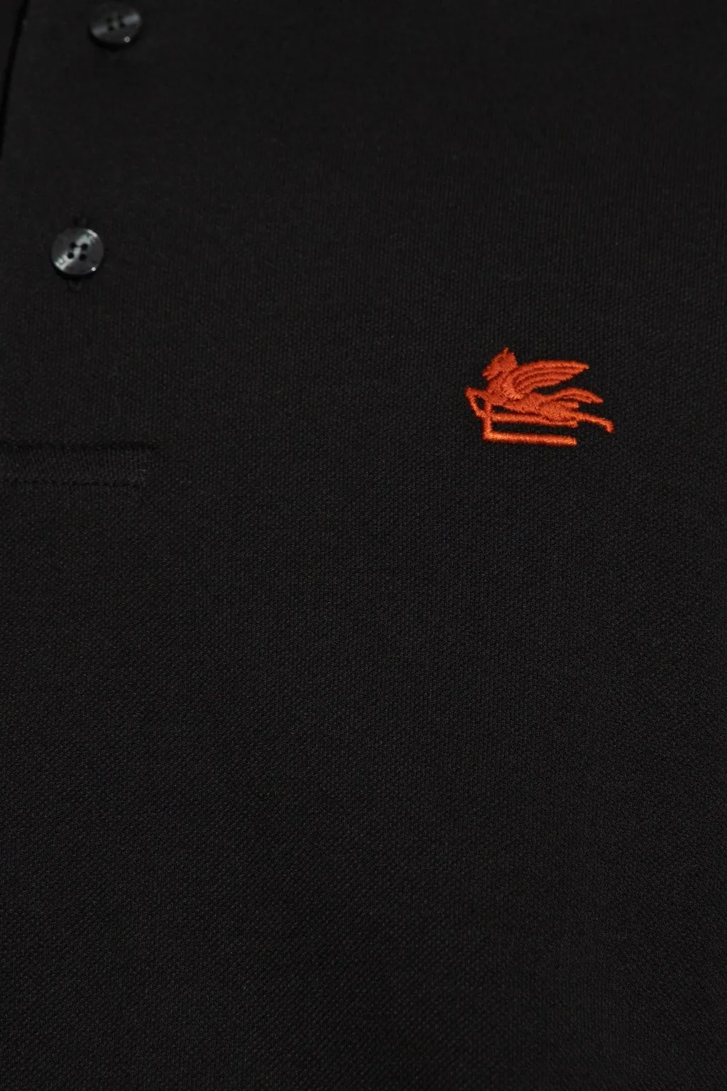 Etro Logo Embroidered Short Sleeved Polo Shirt