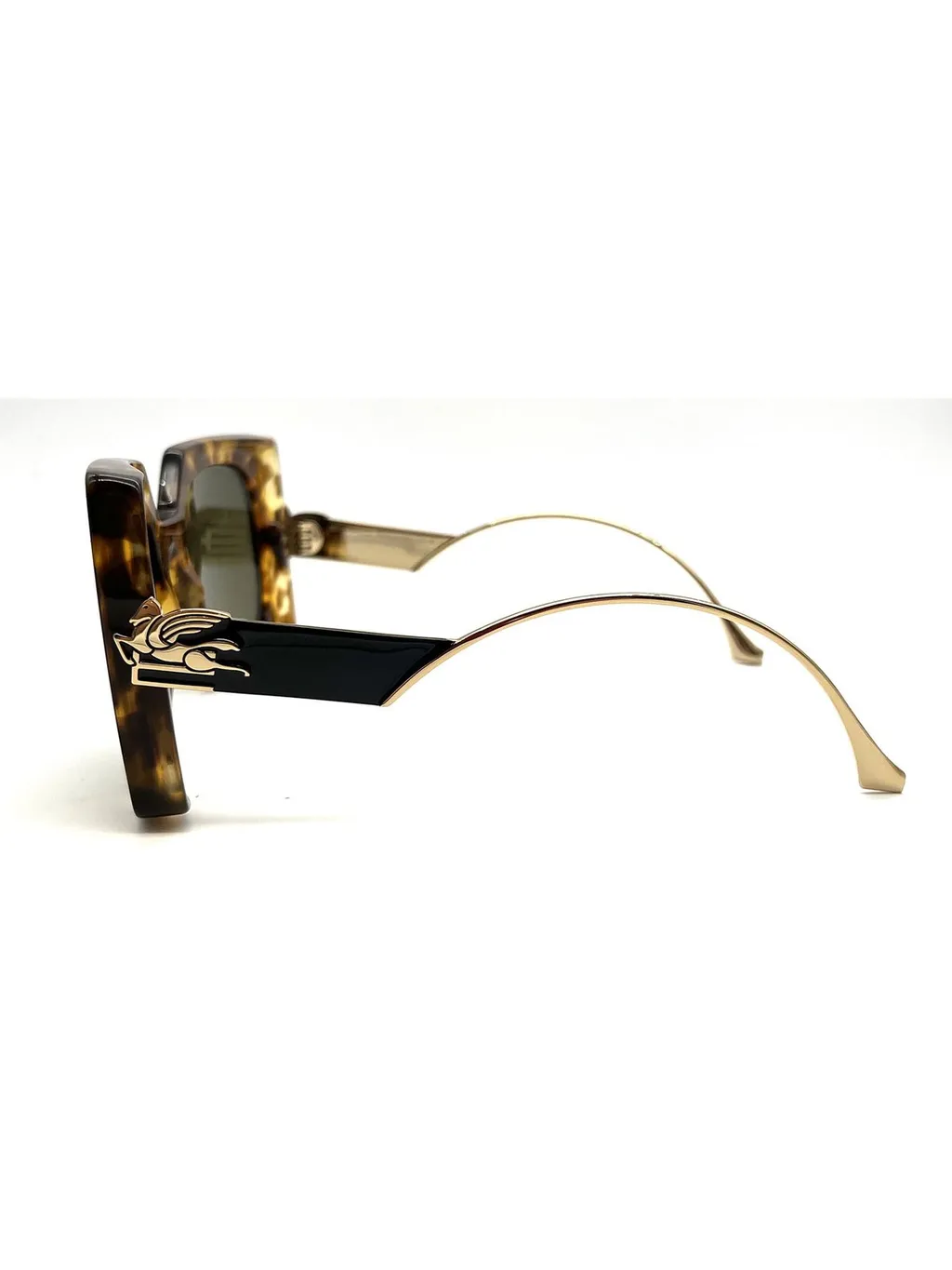Etro Oversized Frame Sunglasses
