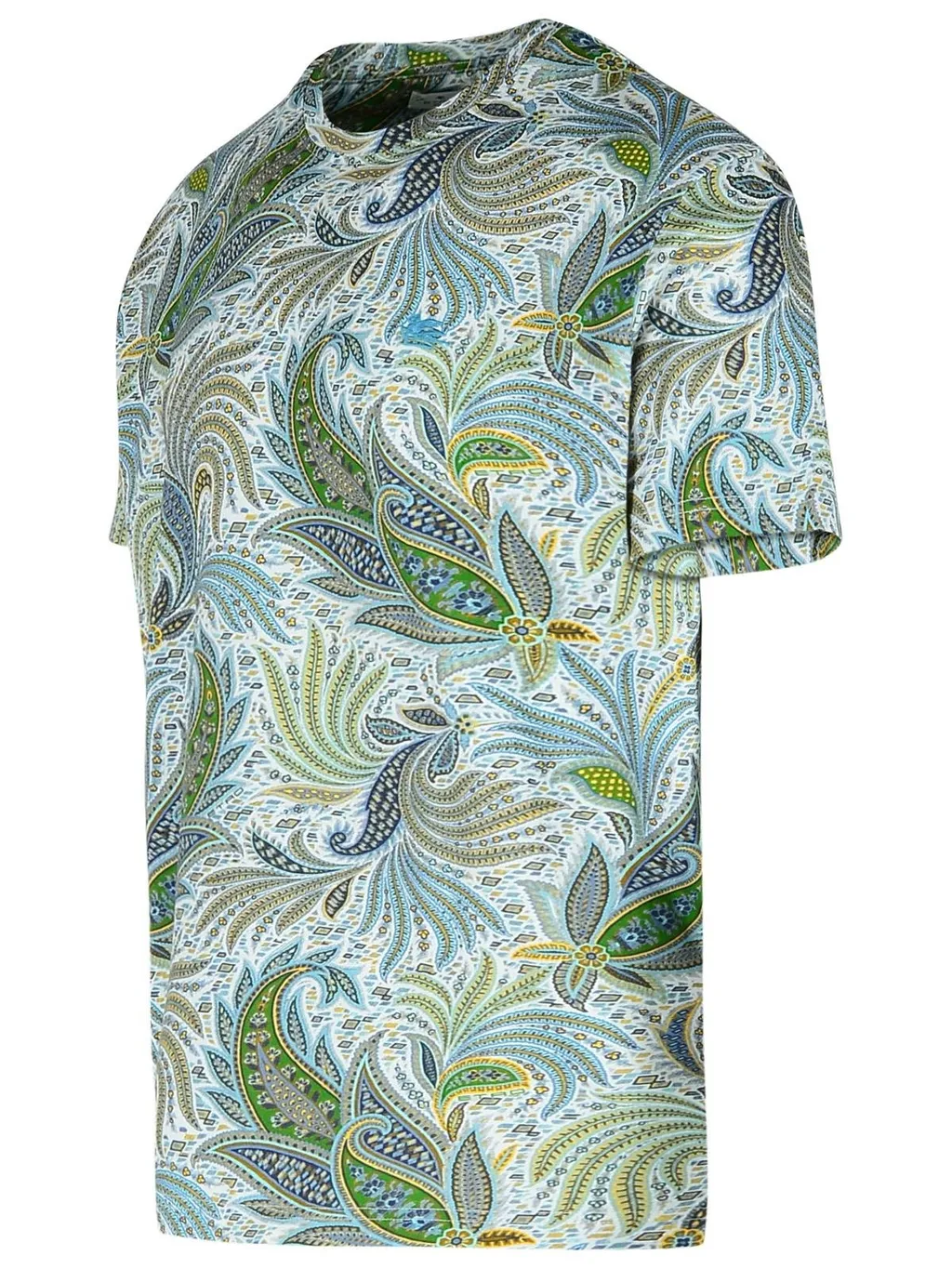 Etro Graphic Printed Crewneck T-Shirt