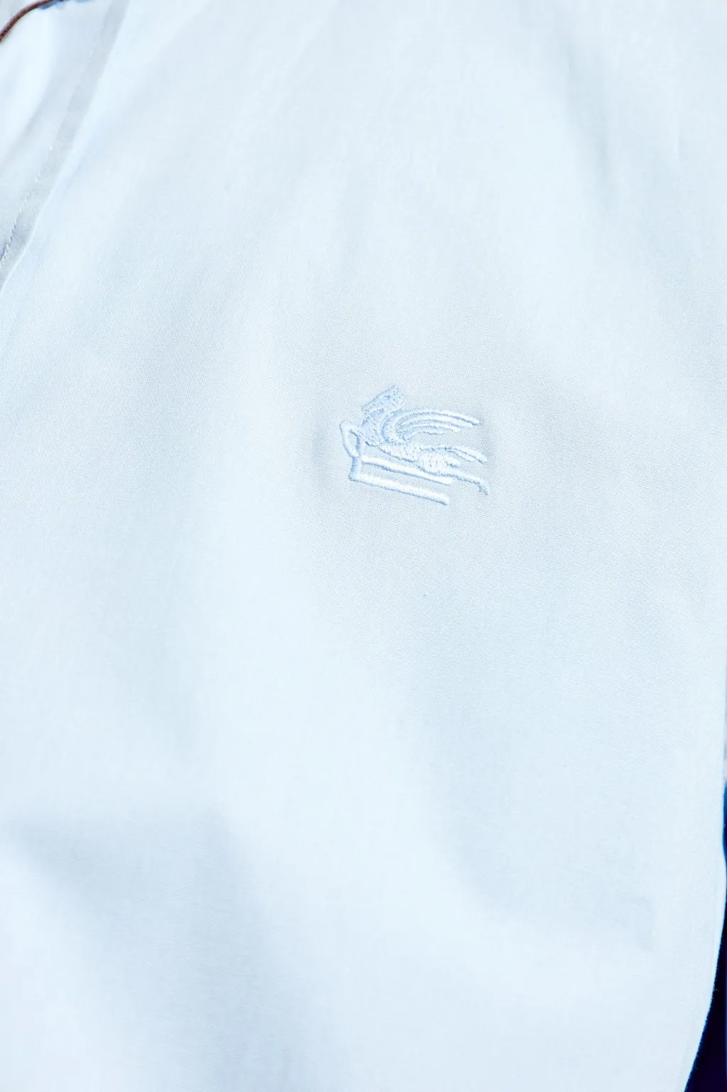 Etro Pegaso-Motif Buttoned Shirt