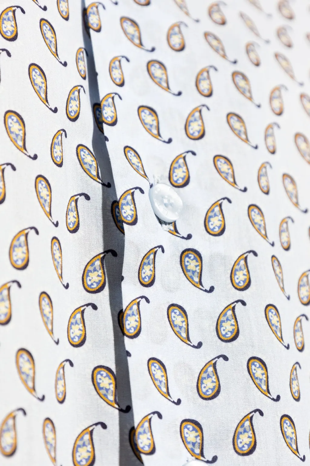 Etro Graphic Printed Long-Sleeved Shirt
