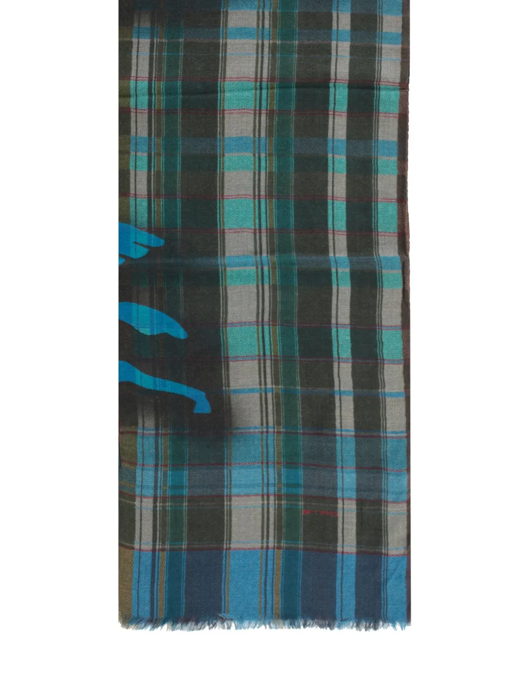 Etro Logo Printed Check Scarf