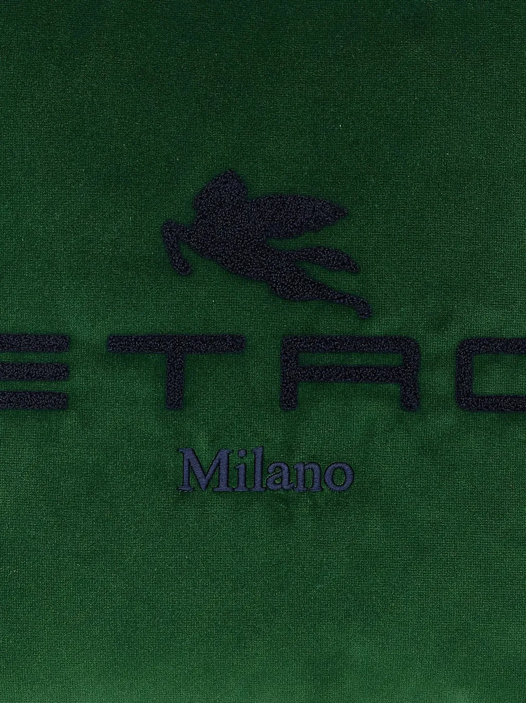 Etro Home Pegaso Embroidered Cushion