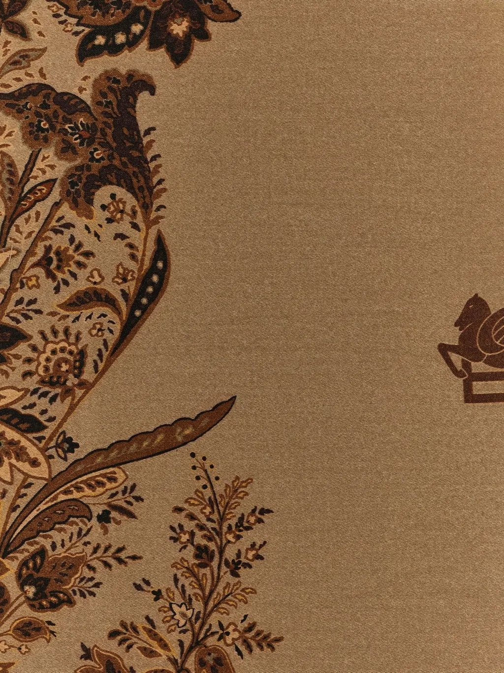 Etro Home Paisley Fringed Throw