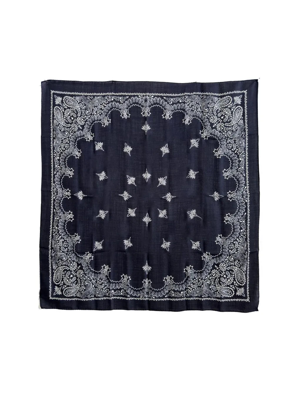 Destin Paisley Printed Scarf
