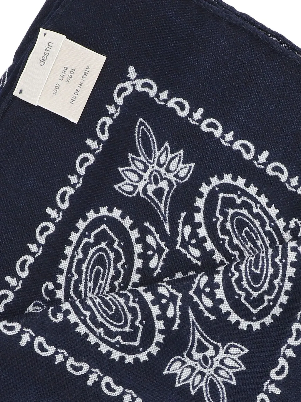 Destin Paisley Printed Scarf