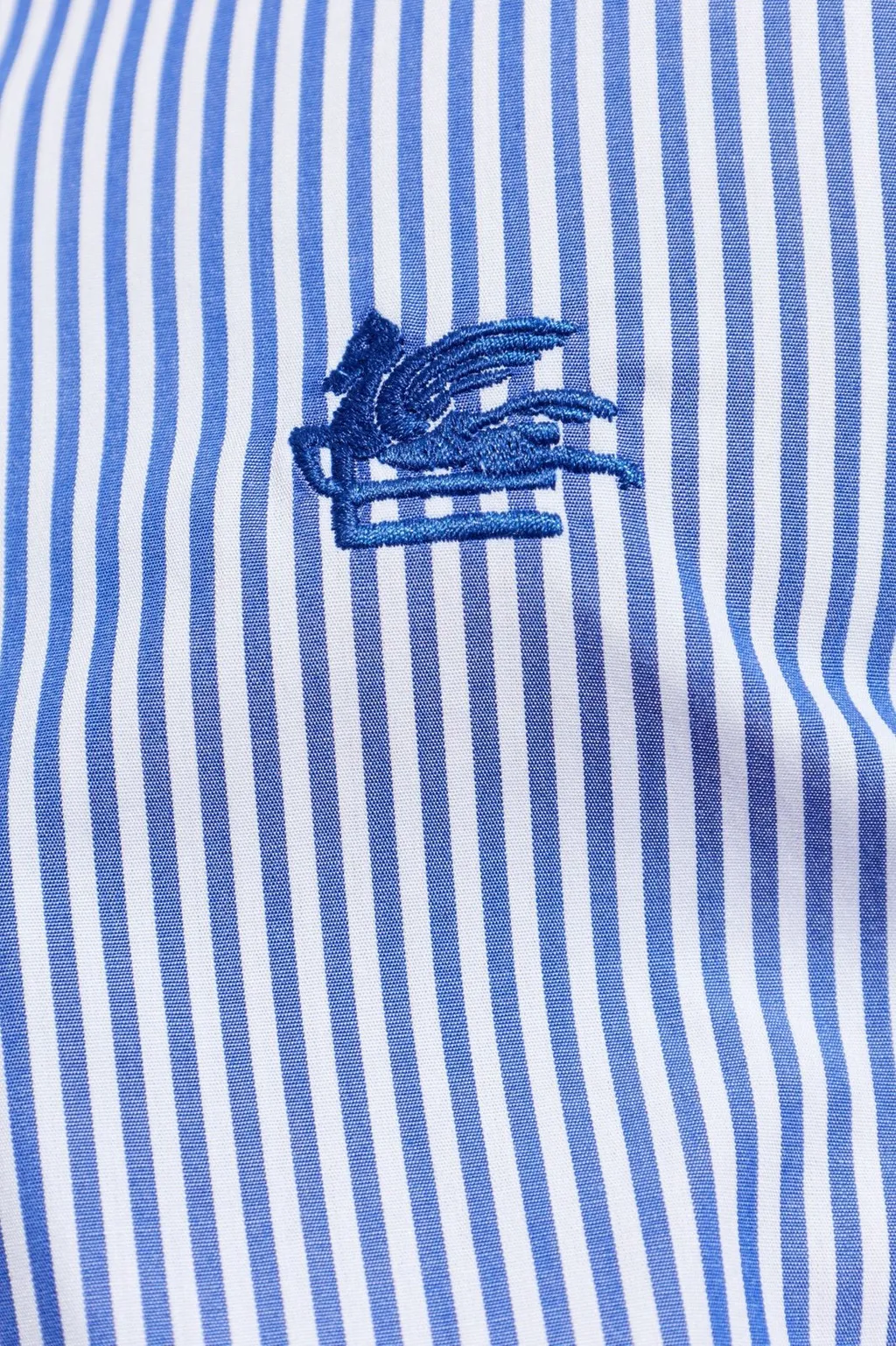 Etro Pegaso Embroidered Pinstriped Long-Sleeved Shirt