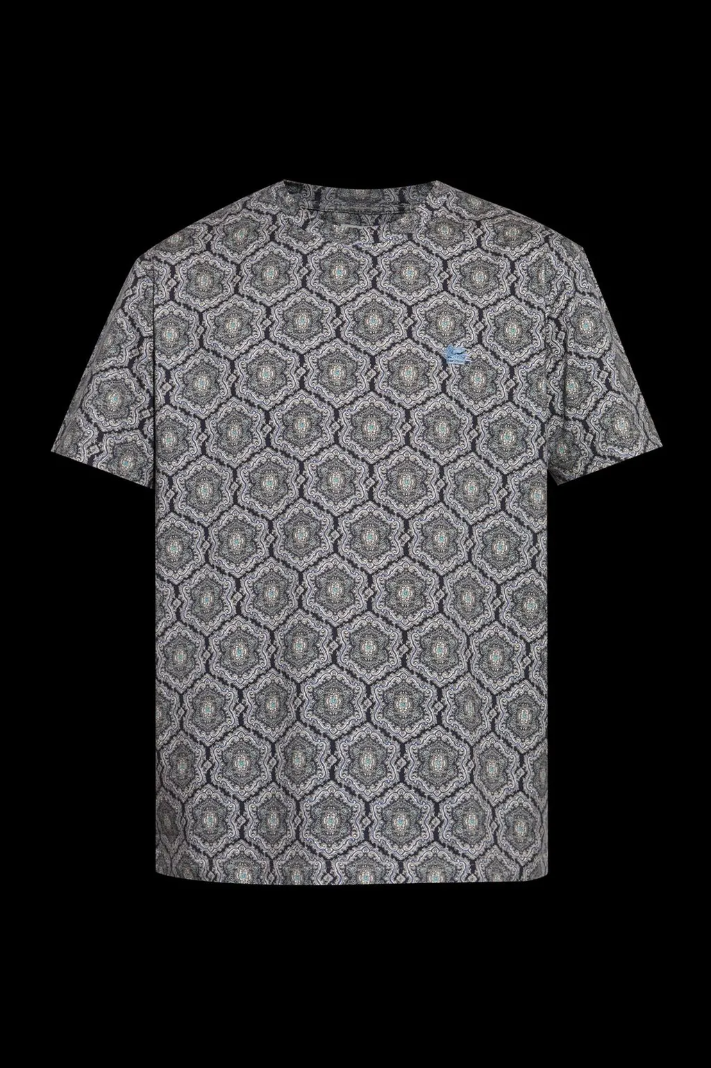 Etro Printed T-Shirt