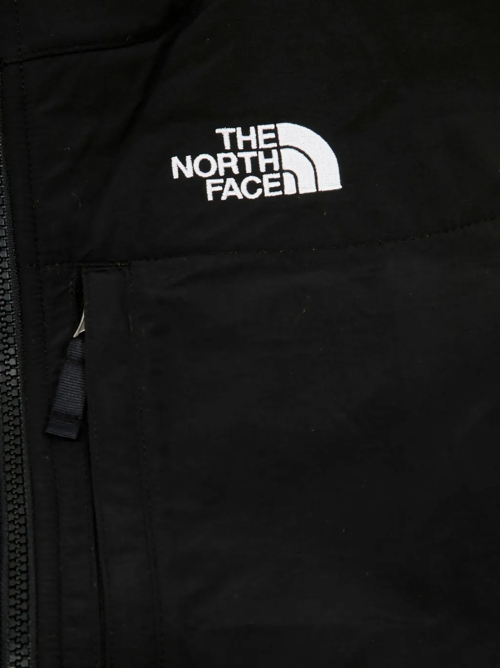 The North Face Kids Denali Jacket