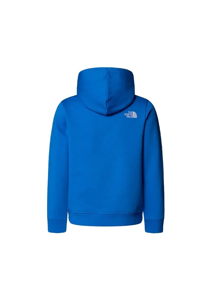 The North Face Kids Logo Hoodie Sweaters