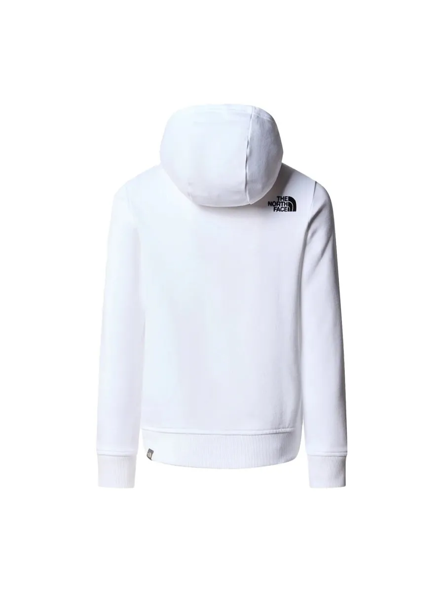 The North Face Kids Drew Peak Hoodie