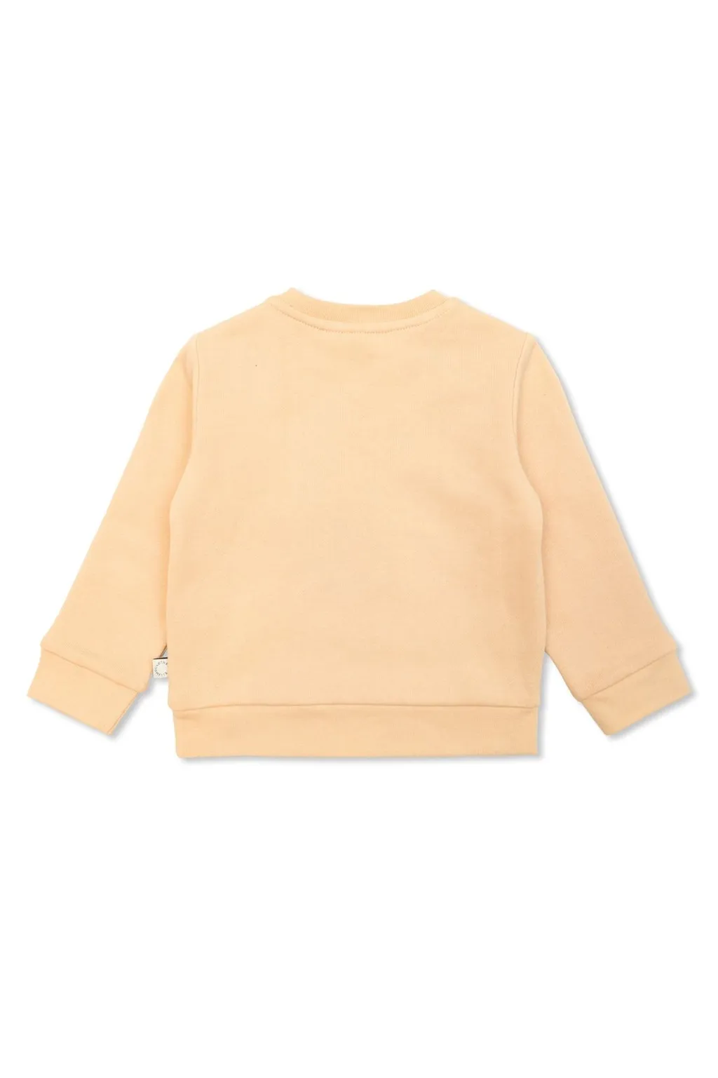 Stella Mccartney Kids Graphic Printed Sweatshirt