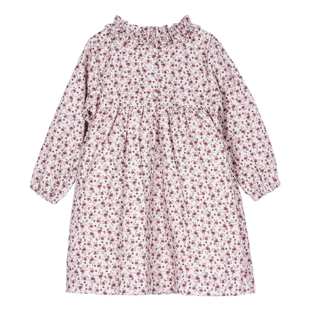 Siola Embroidered Ruffled Dress