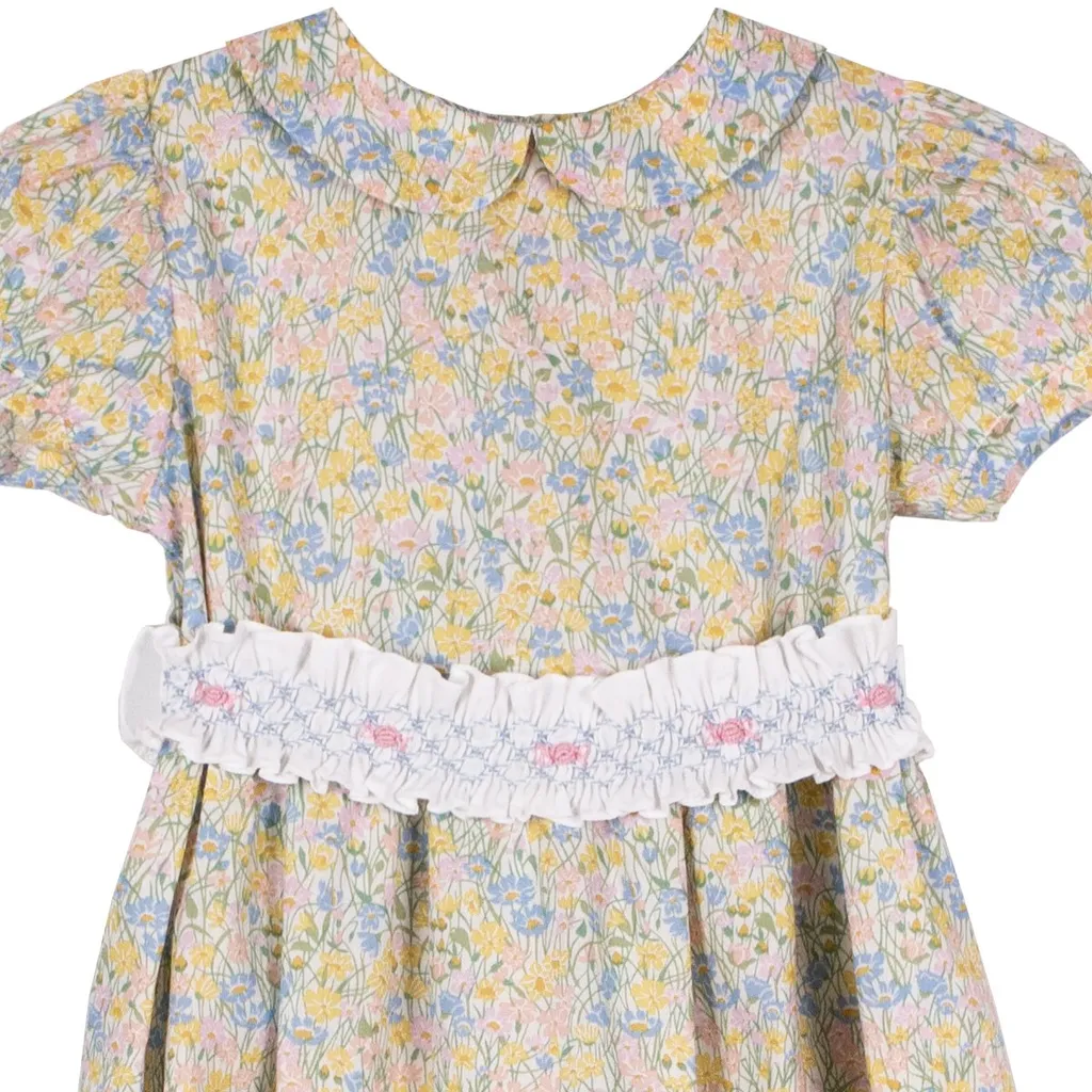 Siola Embroidered Puff-Sleeved Dress