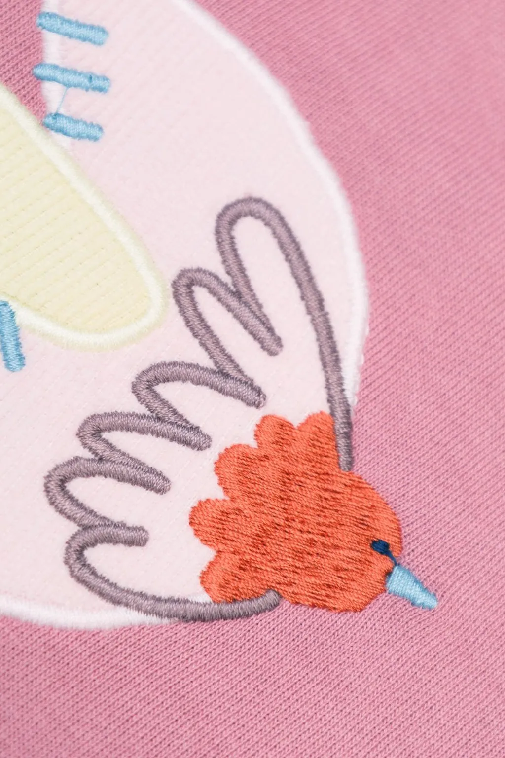 Stella Mccartney Kids Birds Embroidered Crewneck Seatshirt