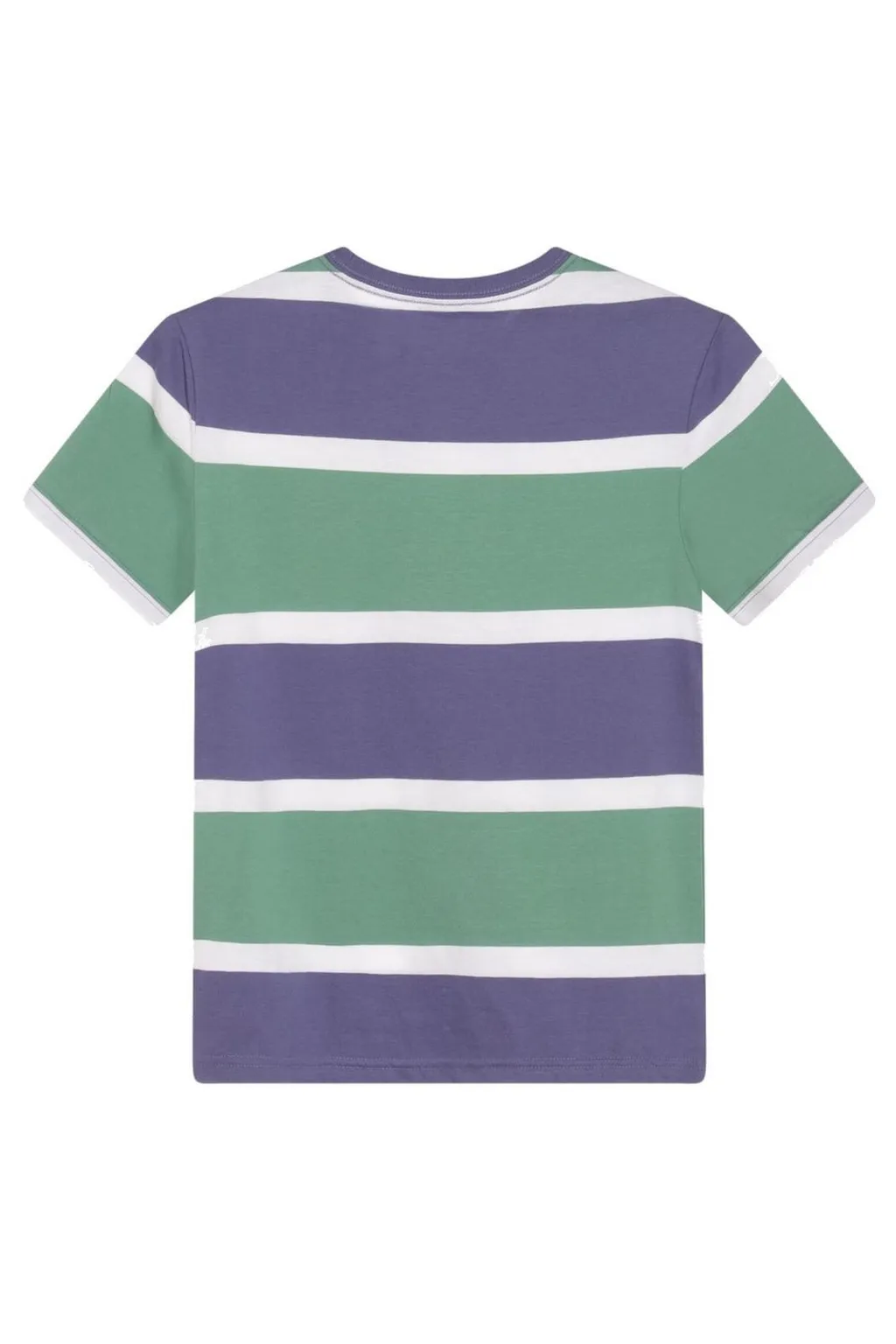 Polo Ralph Lauren Kids Polo Bear Printed T-Shirt