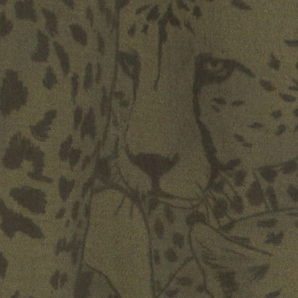 Roberto Cavalli Printed Shorts