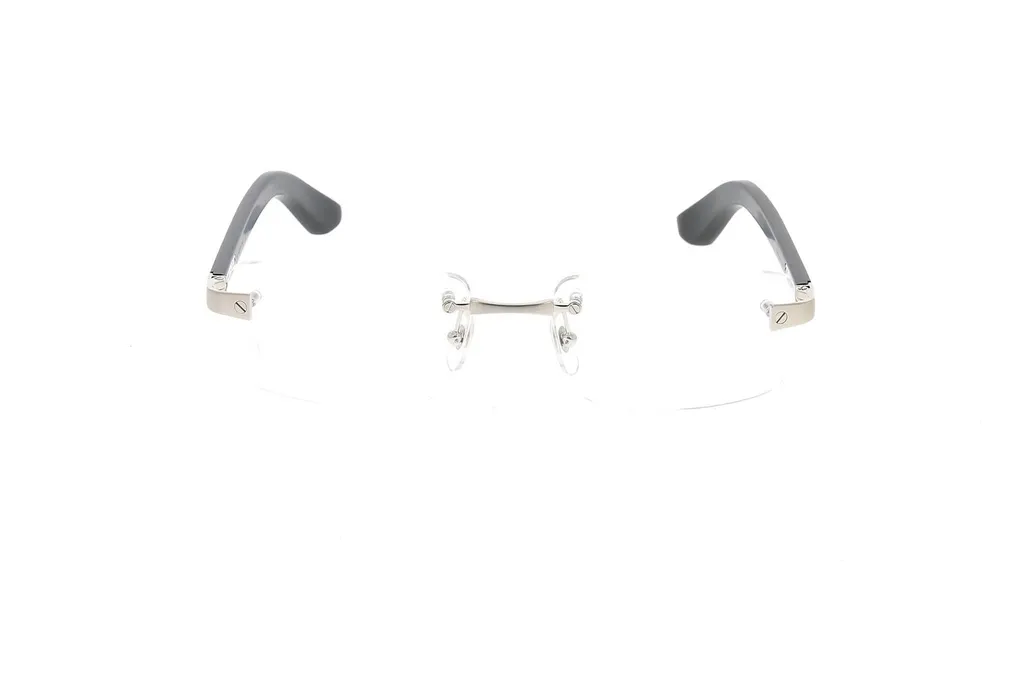 Cartier Santos De Cartier Rectangle Frameless Glasses
