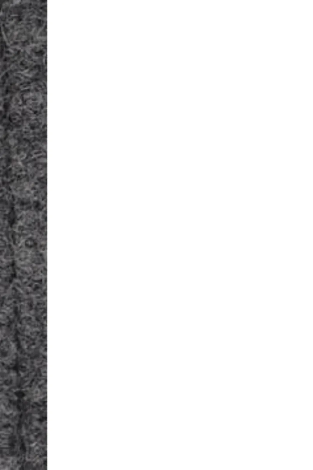 Diomene High Collar Wool Jacket