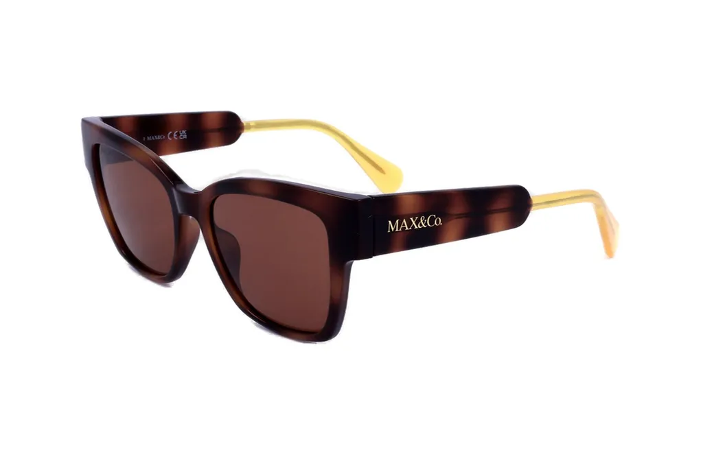 Max&Co. Square Frame Sunglasses