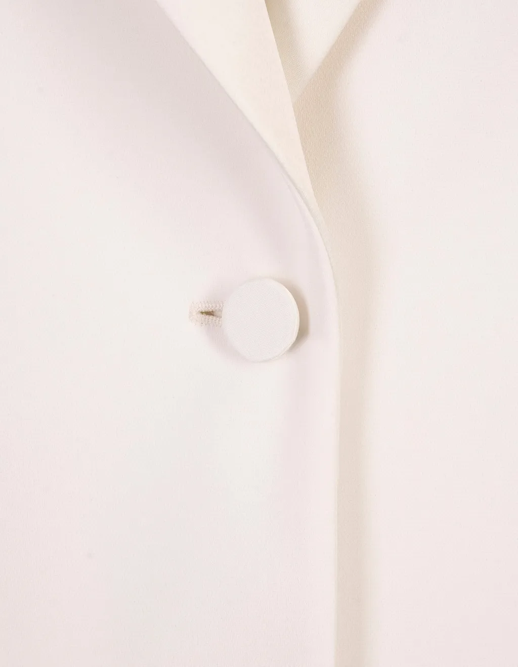 Max Mara Single-Breasted Long-Sleeved Jacket