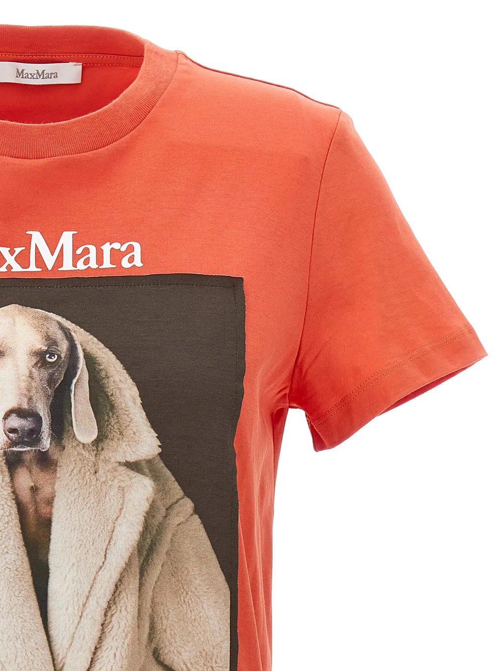 Max Mara Valido Photograph Printed Crewneck T-Shirt