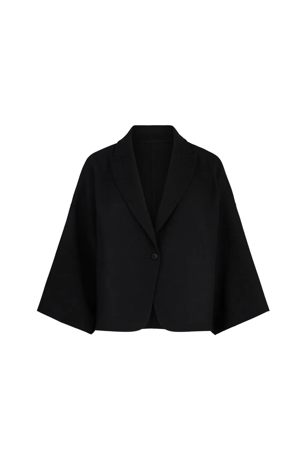 Max Mara V-Neck Single-Breasted Jacket