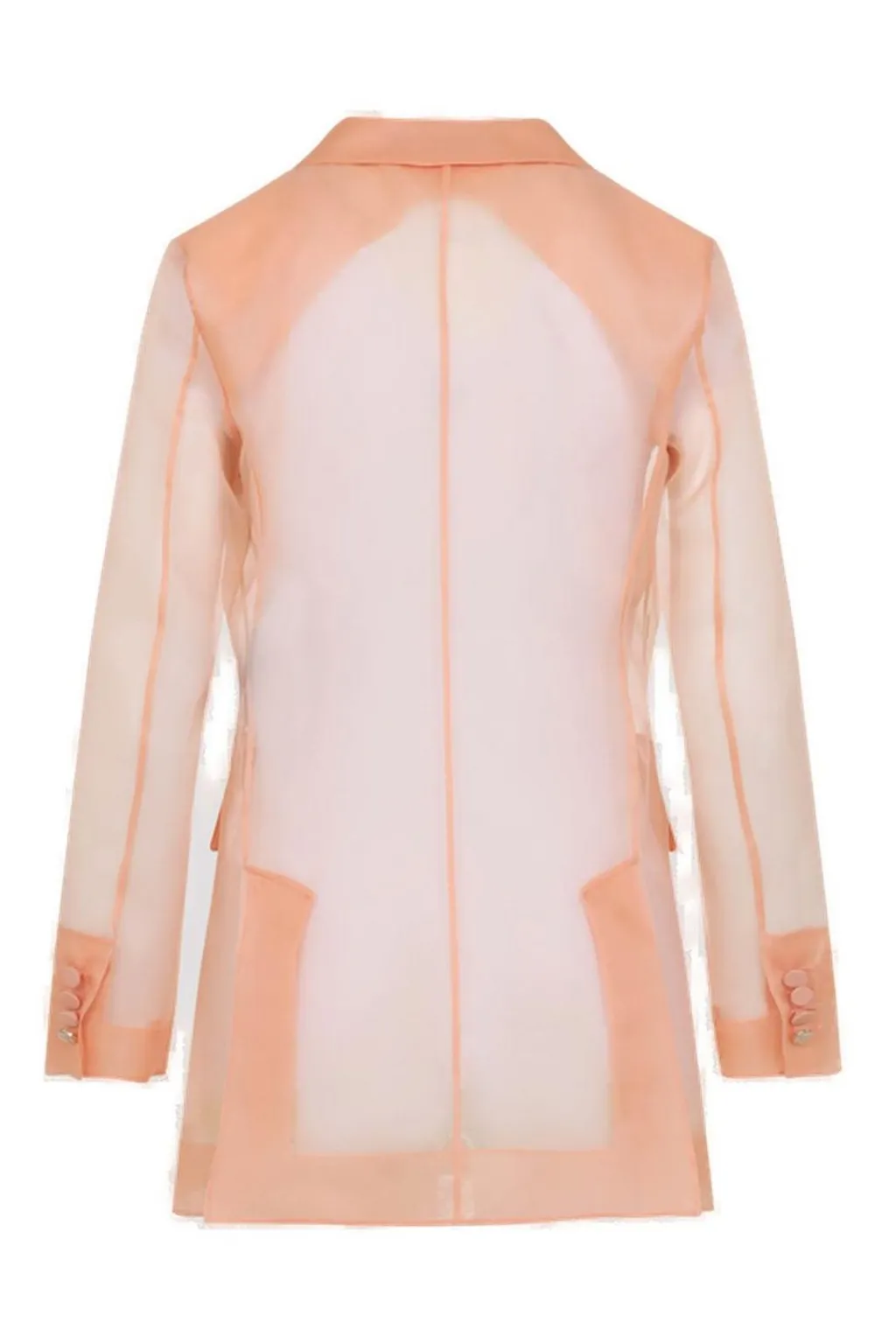 Max Mara Pianoforte Esopo Double-Breasted Long-Sleeved Jacket