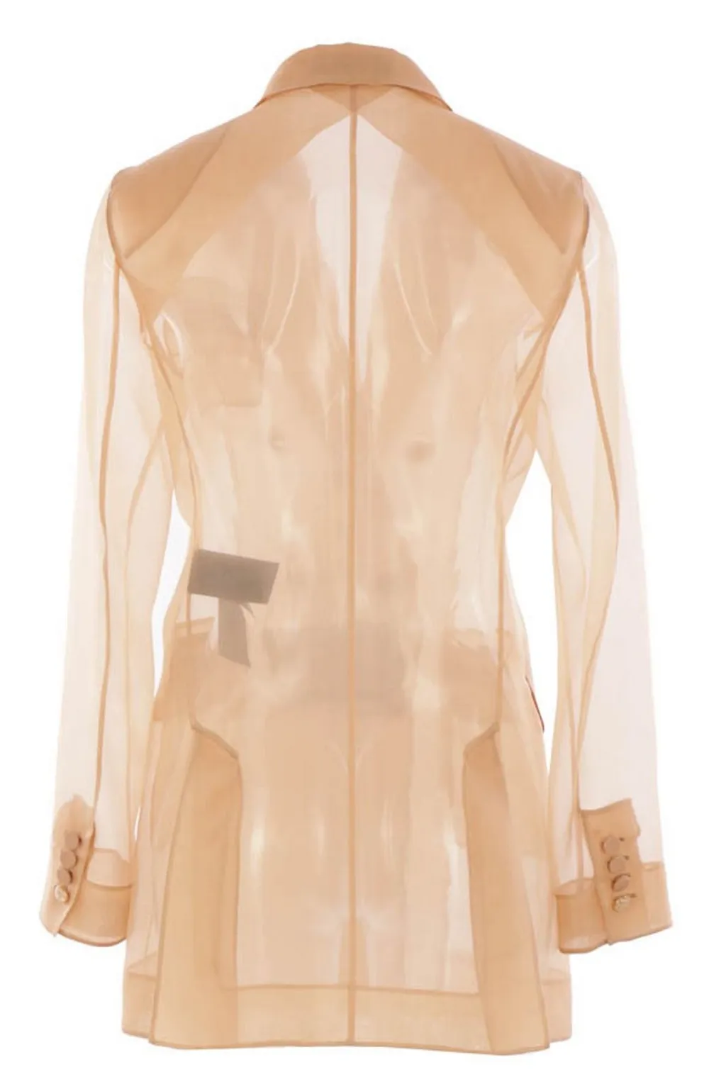 Max Mara Pianoforte Esopo Double-Breasted Long-Sleeved Jacket