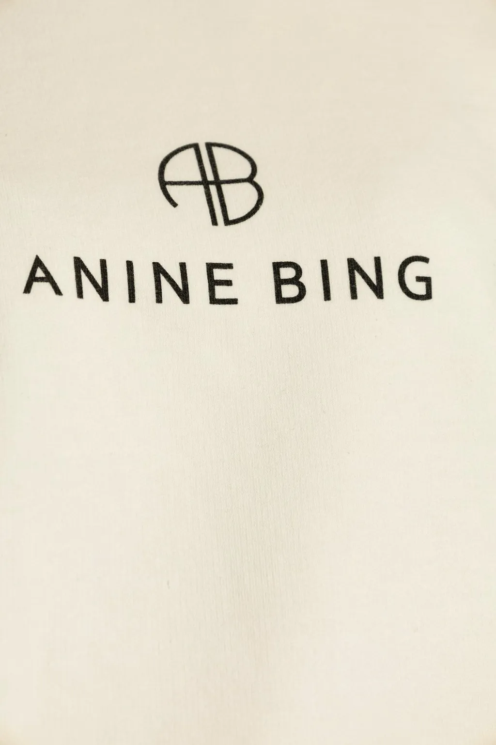 Anine Bingjaci Logo Printed Sweatshirt