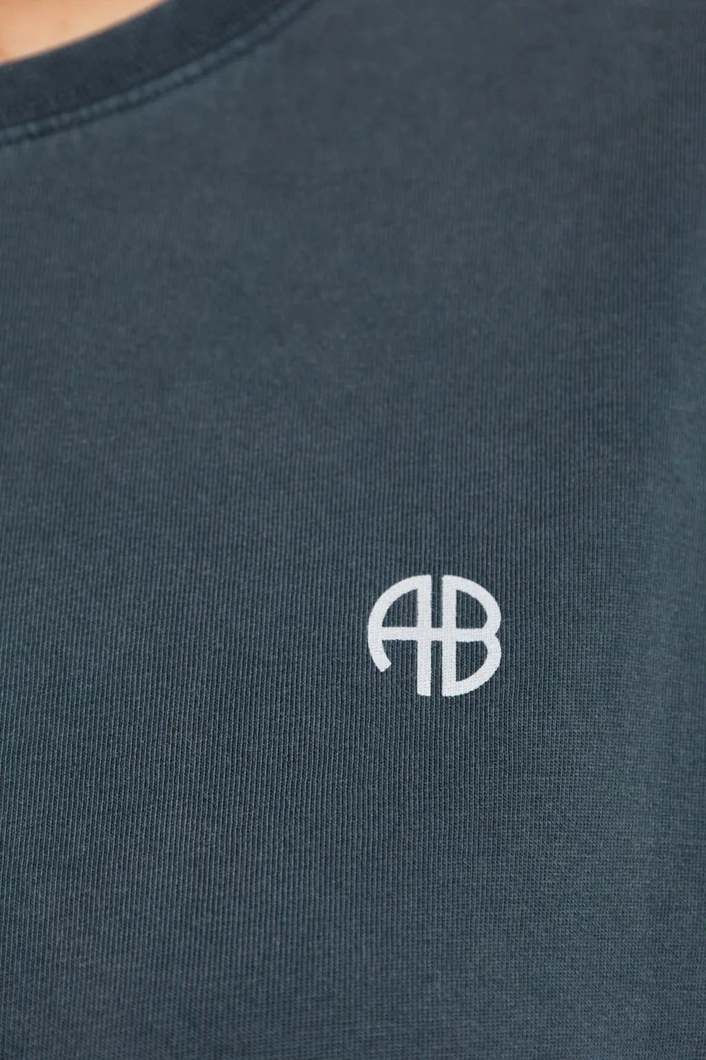 Anine Bing Rudy Graphic-Printed Crewneck T-Shirt