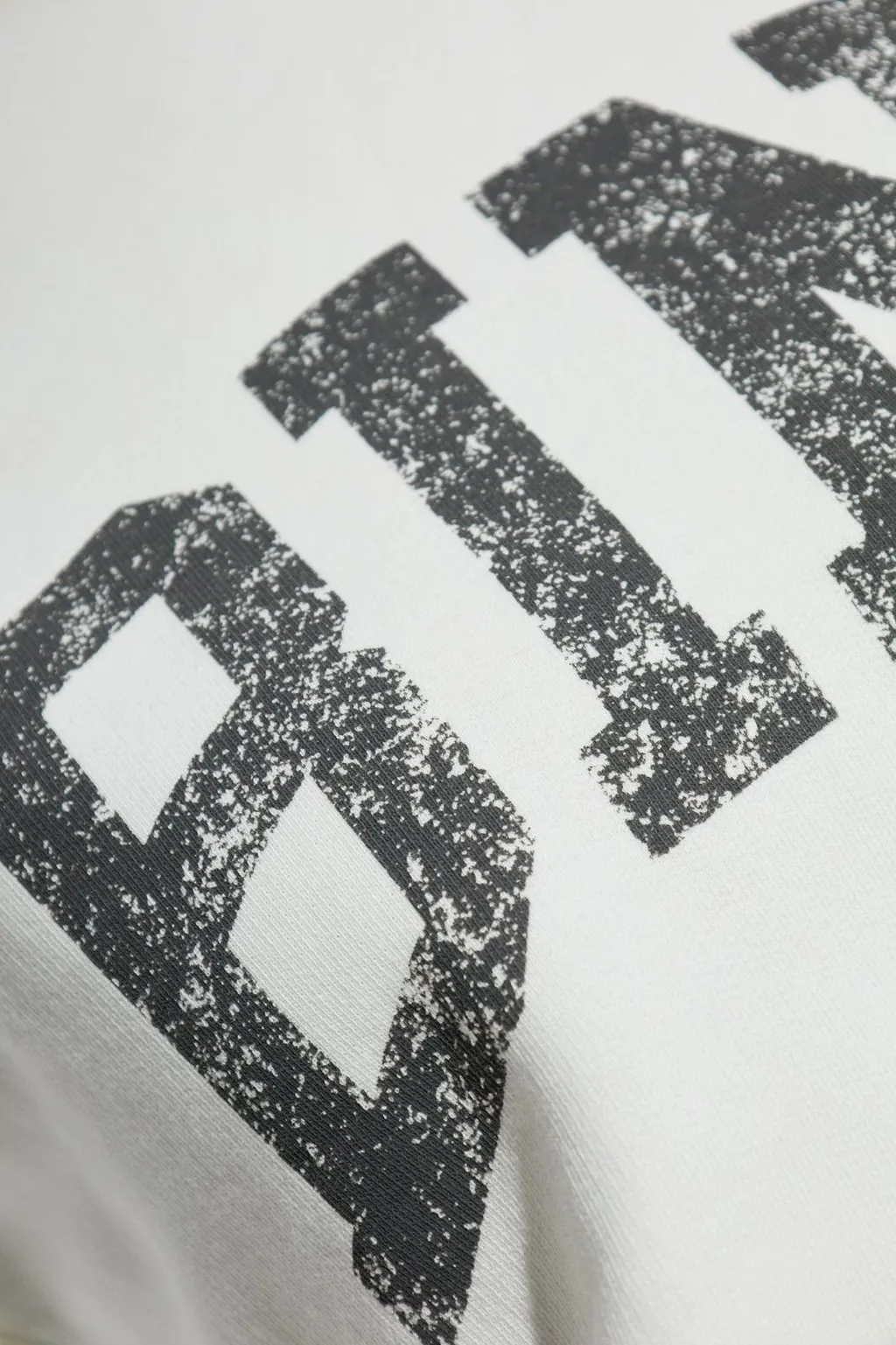 Anine Bing Jay Logo Printed T-Shirt