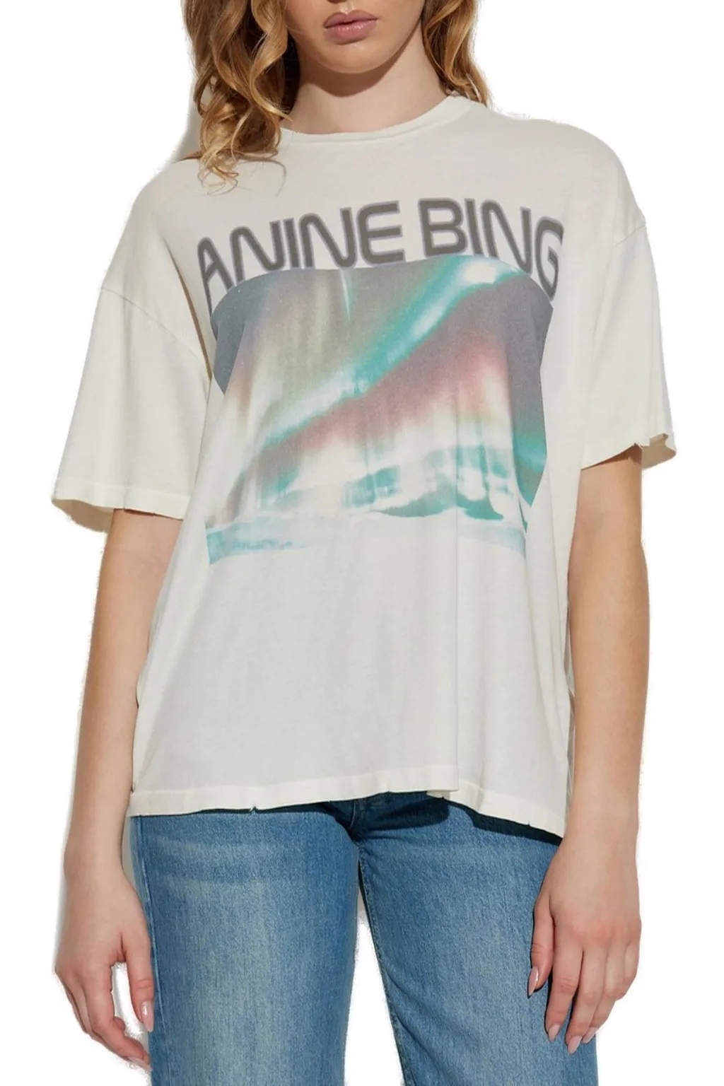 Anine Bing Cade Crewneck T-Shirt